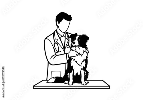 Veterinarian examining a Border Collie dog on examination table in medical setting