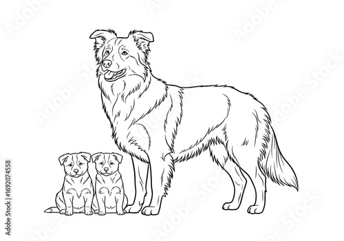 Border Collie mother with two adorable puppies standing together