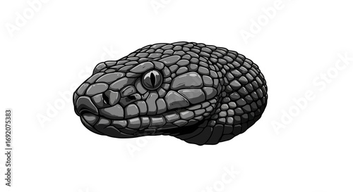 Detailed grayscale illustration of a snake head against white background