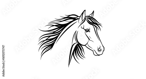 Elegant and minimalist horse head outline artwork in black and white drawing