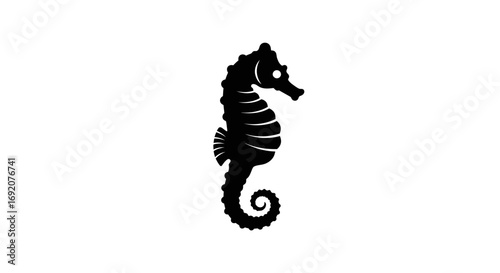 Elegant seahorse silhouette on a white background symbolizing marine life