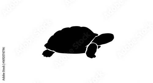 Elegant silhouette illustration of a turtle against a pristine white backdrop