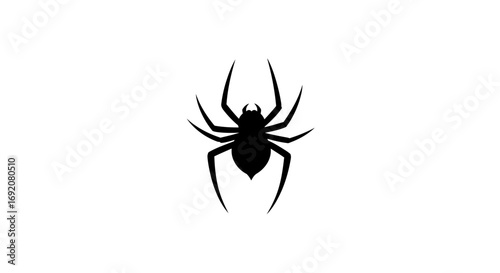 Simple minimalistic vector of a black spider on a white clean background