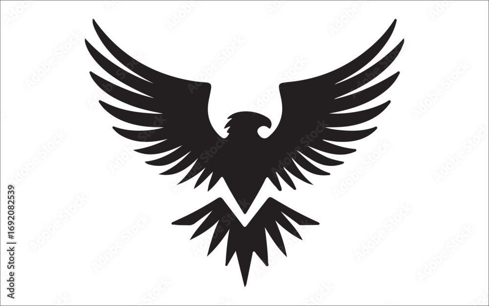 Obraz premium eagle with wings