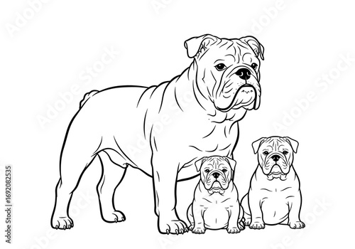 Bulldog mother standing with two puppies in a family portrait style in black and white