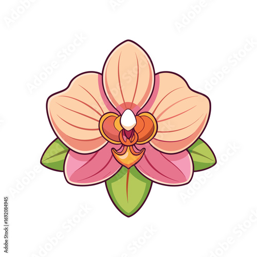 Beautiful cluster of vibrant orchid flowers blooming gracefully on a clean white background for design projects