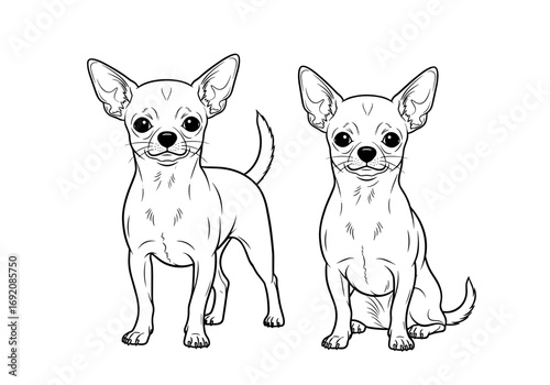 Two Chihuahua dogs in different poses, one standing and one sitting in black and white style