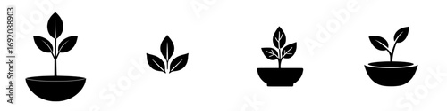 Minimalist black-and-white vector illustration of plants in various pot designs showcasing growth and nature