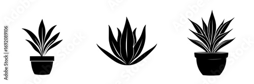 Minimalist black-and-white vector illustration of three succulent plants in pots arranged in a simple silhouette style