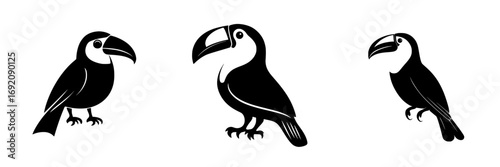 Minimalist black-and-white vector illustration of three simple silhouettes of toucans in various poses