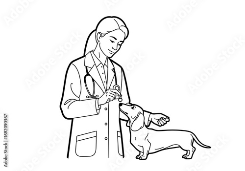 Veterinarian examining a Dachshund dog in a clinic setting