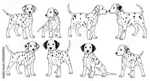 Eight playful Dalmatians illustrated in various poses showcasing their adorable behavior
