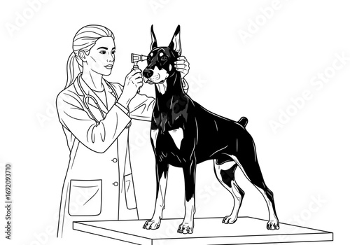 Veterinarian examining a Doberman dog while using an otoscope in a clinic illustrated in line art