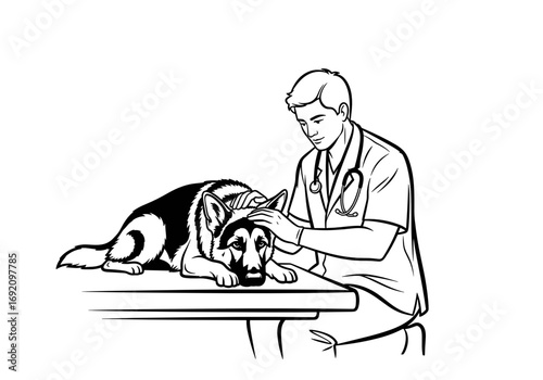Veterinarian examining a German Shepherd with care and attention in a clinical setting