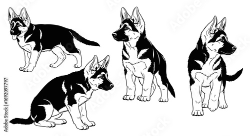 German Shepherd puppies depicted in various adorable poses showcasing their playful and curious nature