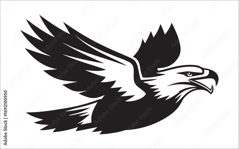 Obraz premium eagle in flight vector