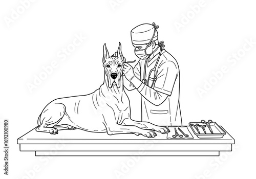 Veterinarian examining a Great Dane dog with care and precision in a clinical setting