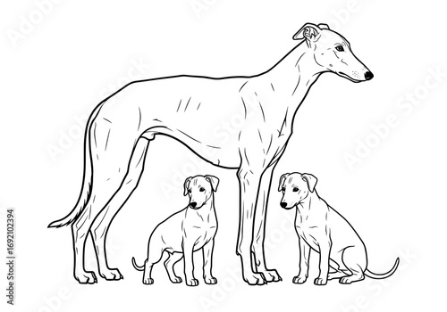 Greyhound adult standing proudly with two puppies showcasing family bond and breed elegance