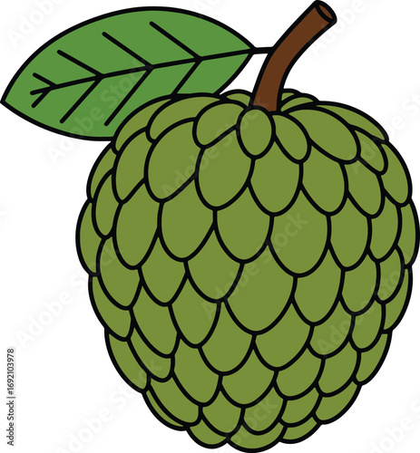 Fresh Cherimoya Fruit Illustration with Leaf