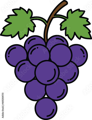 Fresh Bunch of Purple Grapes with Green Leaves