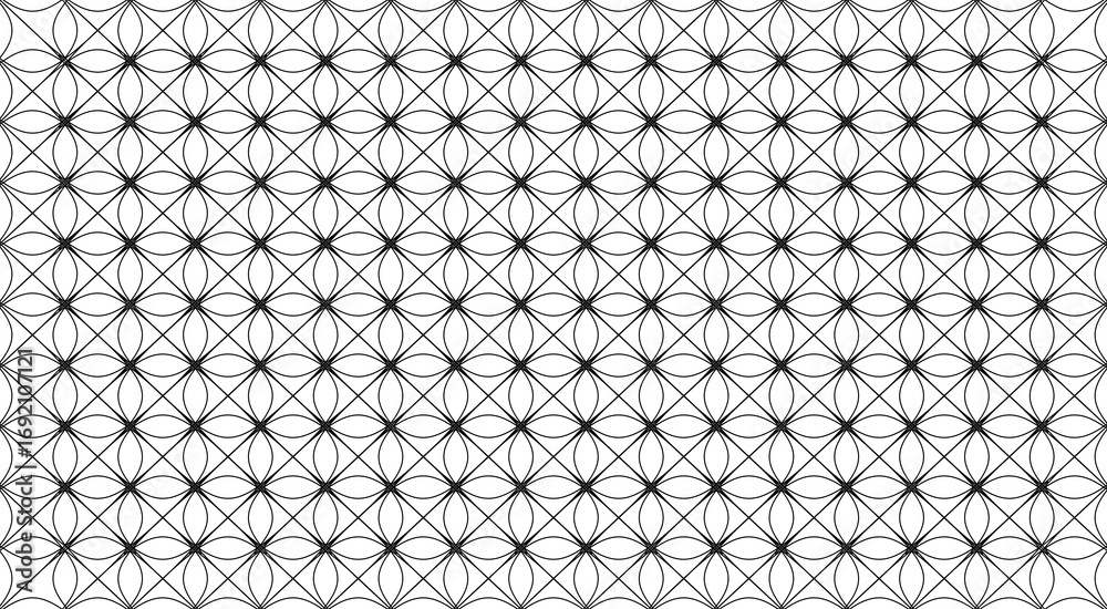 Fototapeta premium Black Geometric Pattern of Intersecting Circles and Lines