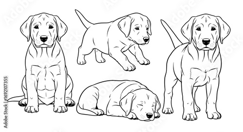 Four playful Labrador Retriever puppies in various poses in a minimalist style 