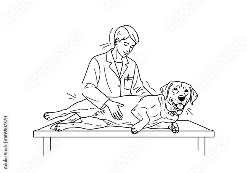 Veterinarian performing a checkup on a Labrador Retriever dog on a table in a minimalist style 