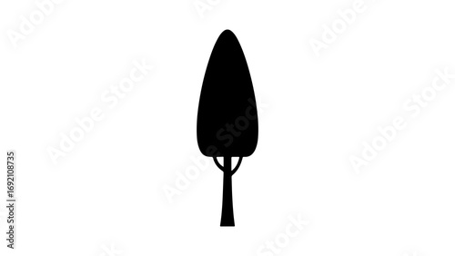 Tall tree silhouette with transparent background