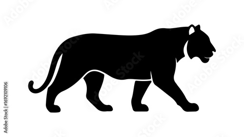 Tiger silhouette walking with transparent background