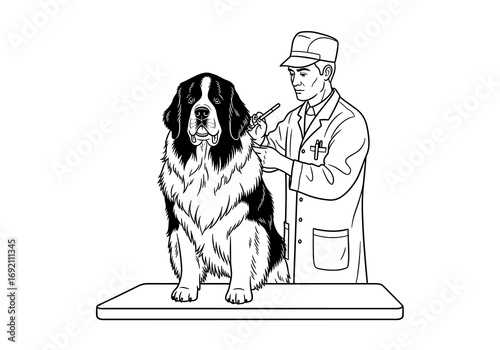 Veterinarian examining a Newfoundland dog with care at a veterinary clinic