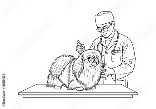 Veterinarian examining Pekingese dog with focused expression in veterinary clinic