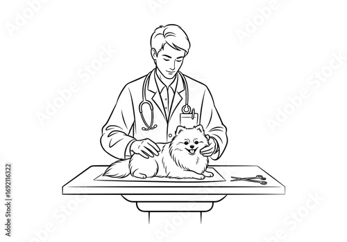 Veterinarian caring for Pomeranian dog with focused expression in clinic setting