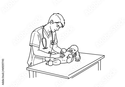 Veterinarian examining a poodle puppy at a veterinary clinic