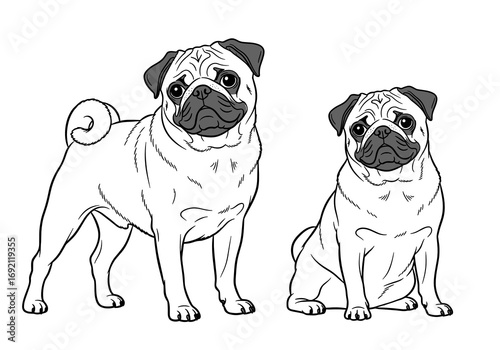 Illustration of adult pug and a pug puppy standing together