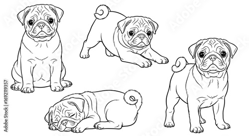 Illustration of four pug puppies in different poses and expressions