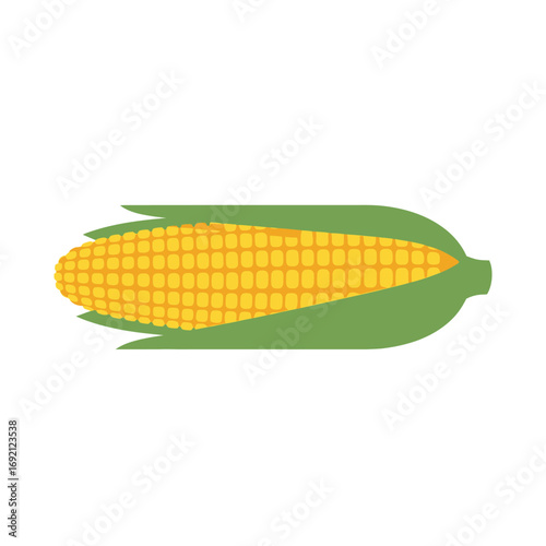 Fresh Corn on the Cob with Green Husk