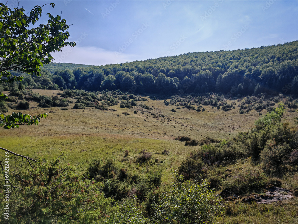 Fototapeta premium Scenic panorama of Mohos Crater in Hungary’s Bükk Mountains, with open grassy basin and forested hills under a summer sky.