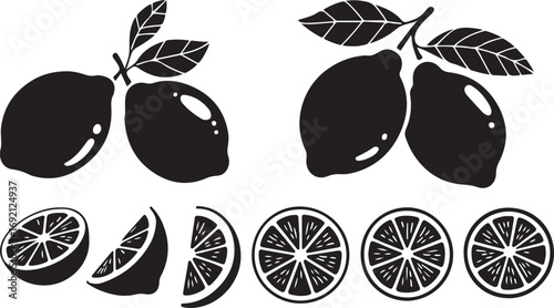 Lemon Citrus Fruit Vector Illustration Set for Refreshing Summer Designs