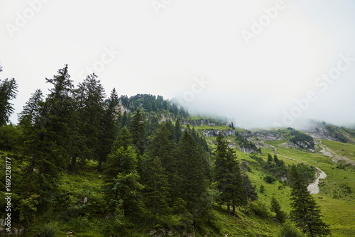 Misty Alpine Landscape with Verdant Slopes and Dense Evergreen Forests under a Bright Overcast Sky, showcasing the serene beauty of the natural environment