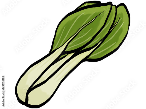 チンゲン菜のイラスト （筆タッチ） シンプル / Hand-painted Bok Choy, Brush Style Illustration