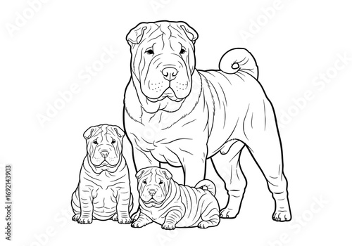 A proud Shar Pei mother standing with her two adorable puppies, showcasing their unique wrinkles and family bonds