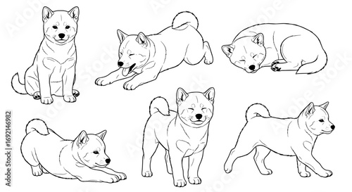 Six cute Shiba Inu dogs in various playful poses, showcasing their adorable nature and energy
