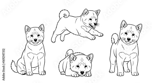Four playful Shiba Inu puppies in various poses, showcasing their energetic and adorable nature