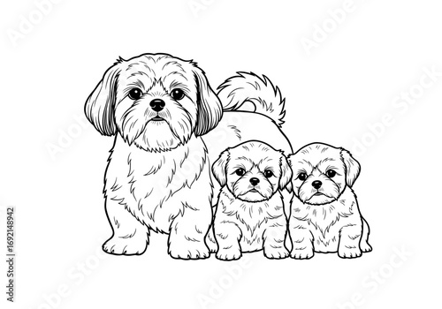 A mother Shih Tzu dog standing proudly with her two adorable puppies, showcasing family bonds