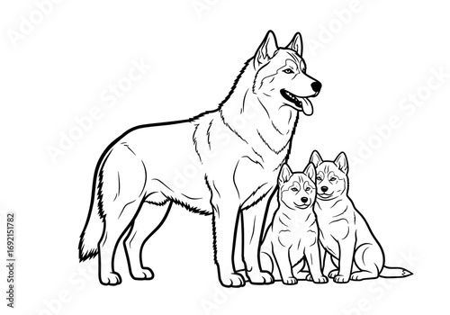 A proud Siberian Husky with two adorable puppies sitting beside it, showcasing family bonds