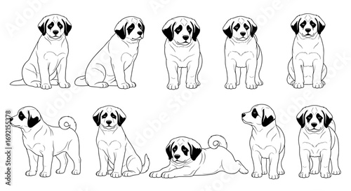 Ten St. Bernard puppies in various poses: sitting, playing, and lying down