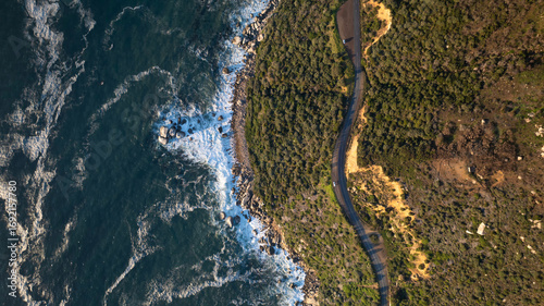 Aerial view of the winding road cutting through the vibrant green coastal vegetation where the land meets the dark blue ocean, Cape Town, Western Cape, South Africa.