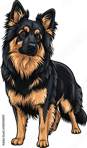 Bohemian Shepherd dog tilted head curious standing illustration