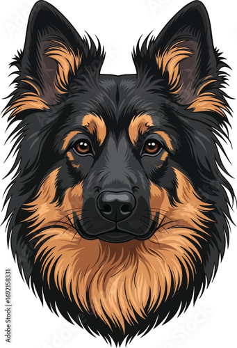 Bohemian Shepherd dog cute face headshot portrait illustration