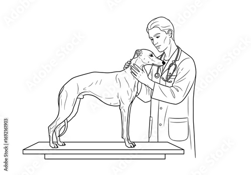 Veterinarian examining whippet dog with care on sterile table in clinic